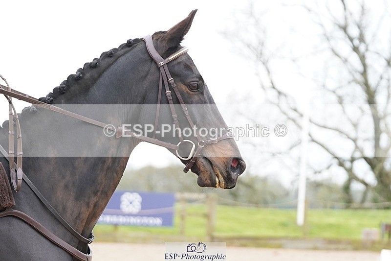 250419-125610-10926 - 763-Alison.Steele-TRENERTH.THOMAS.GEW