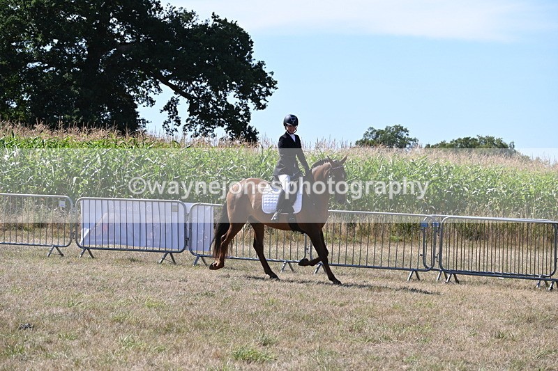 WJ6_8884 - Class 38 Ridden Riding Horse/Pony