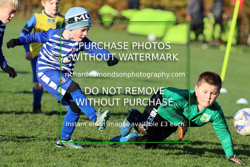 IMG_3787 - Kendal Utd Colts U7 vs Ambleside U7's (11/11/23)