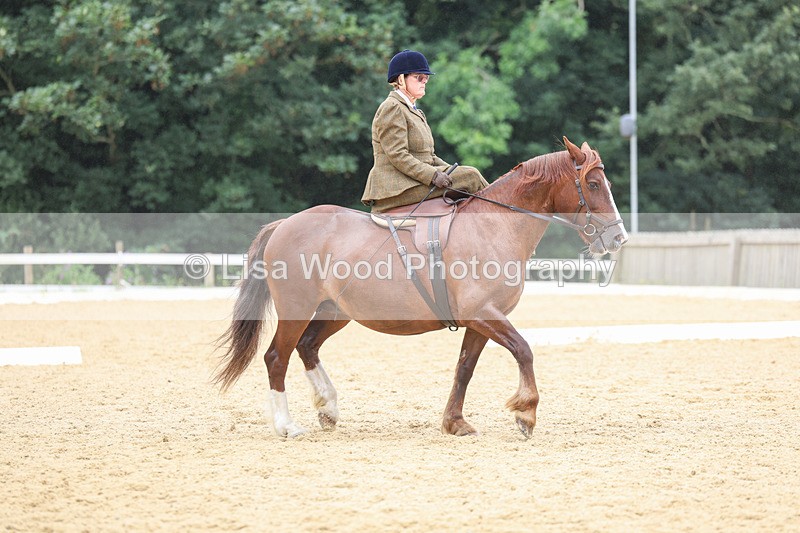 3E7A5496 - Class 2: Intro 4 2024 section B