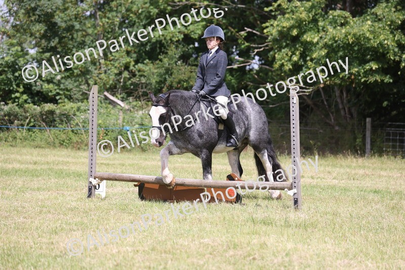 20260614-1968 - Class 21 - Novice Working Hunter Pony