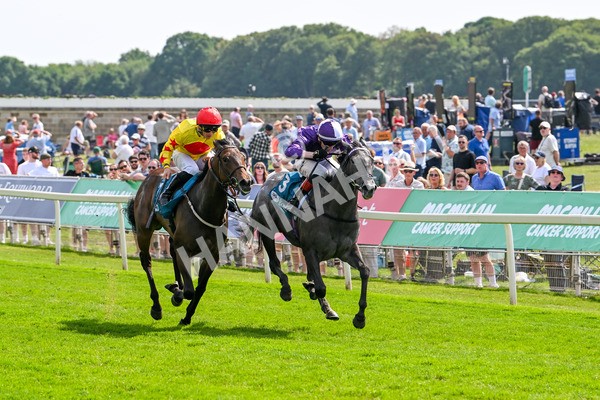 130625-Race 4-India Love-9235 - Race 4 3.35pm Juddmonte EBF Fillies' Restricted Novice Stakes