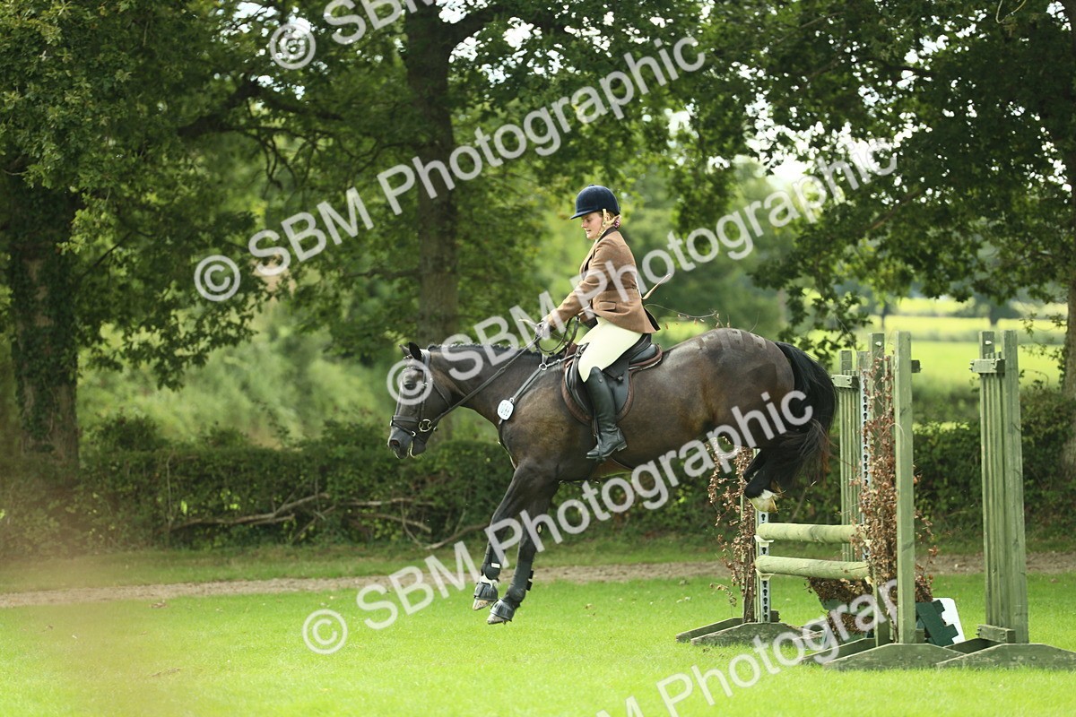 SBM_44772 - S31 - Working Hunter Pony
