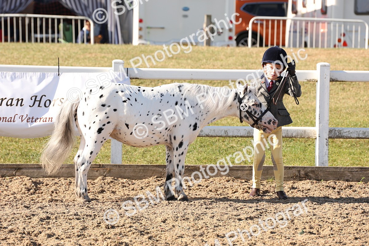 SBM_11649 - Class 203 - Young Handler 11 to 16 years