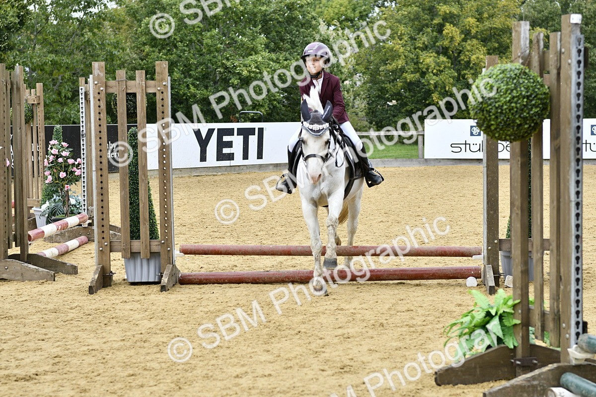 SBM_65537 - J2a mini Tour Junior Pony 30cm Championship