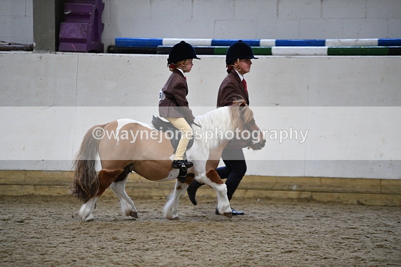 WJ5_6762 - Class 10 Childs Pony