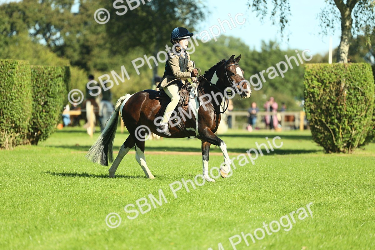 SBM_37524 - S29 - Novice & Newcomers Working Hunter Pony