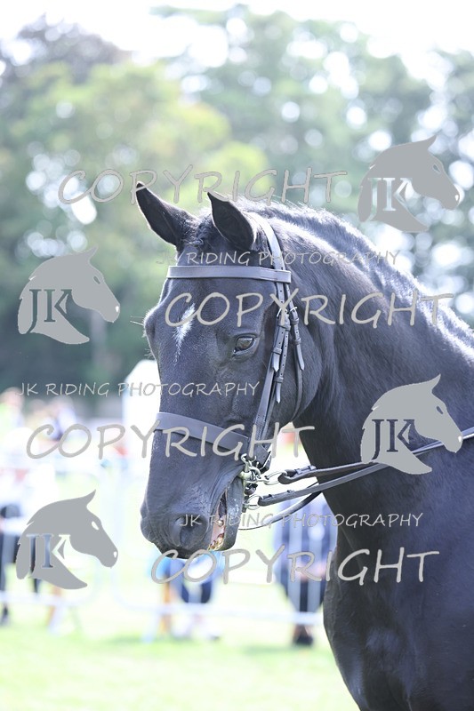 APP_3283 - Class 11 Veterans ridden