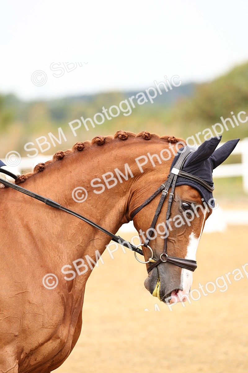 SBM_012305 - Class 2 - Prelim 5