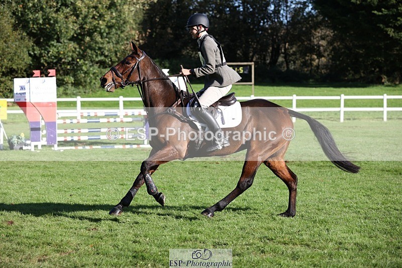 231022-103623-24628 - 609-WHAT.A.WONDER-Harry.Robinson-TrotUp+SJ