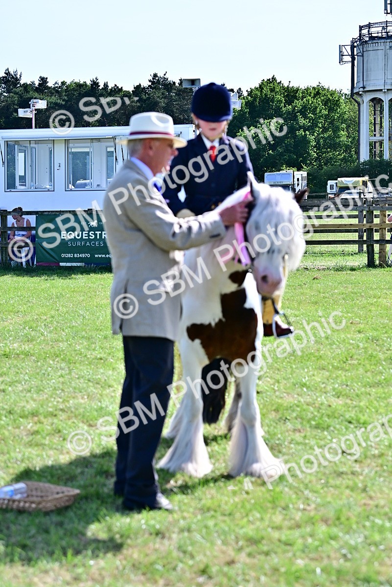 SBM_09444 - Class 63-65 - Traditional Gypsy Cobs In Hand & Ridden