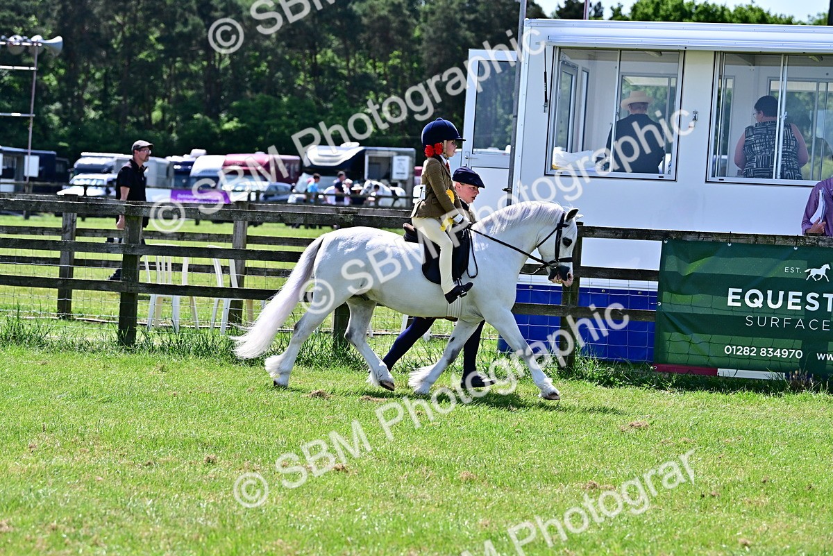 SBM_06001 - Class 59-60 - TSR M&M  Lear Rein and First Ridden Amateur of the year