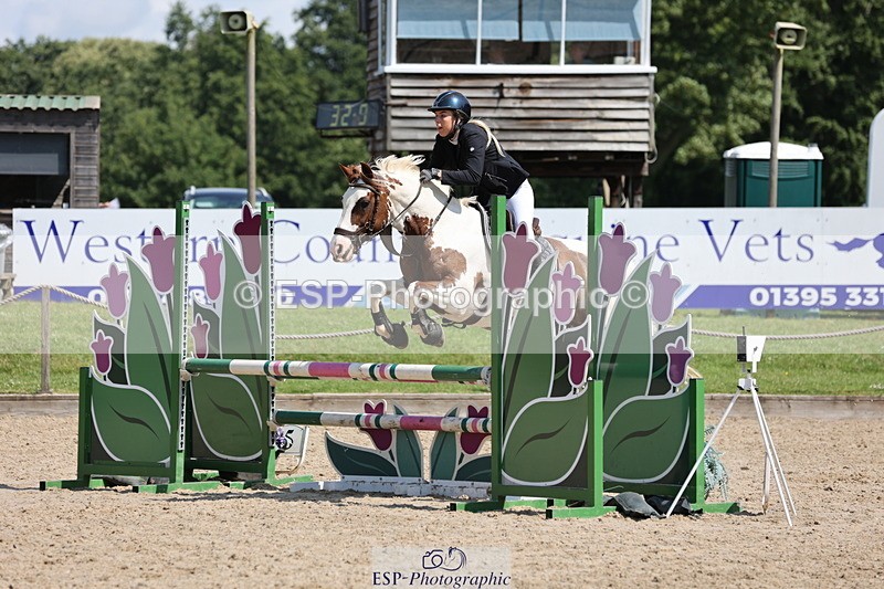 250614A-110752-05911 - Cls 26 British Novice and 90cm Open