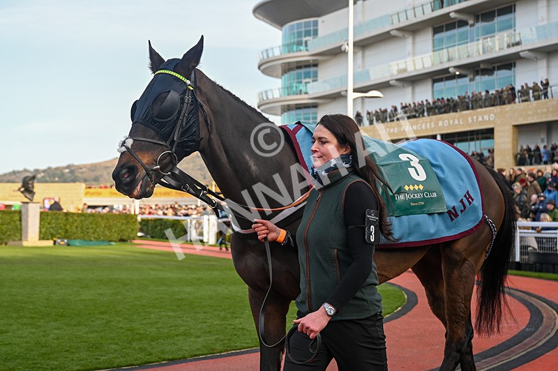 250125-Race 4-Chantry House-3382 - Race 4