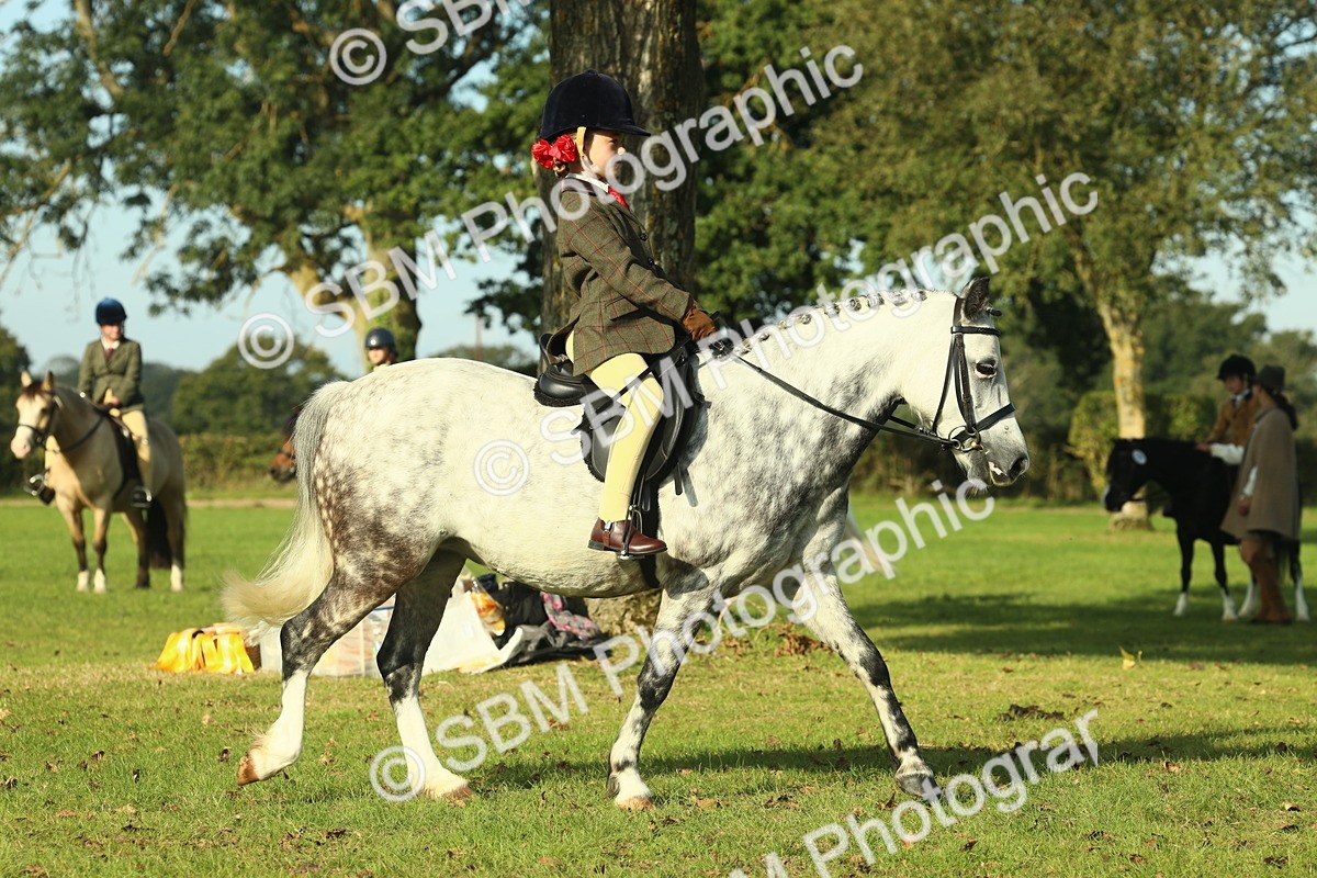 SBM_59214 - S38 - Starters Ridden Showing