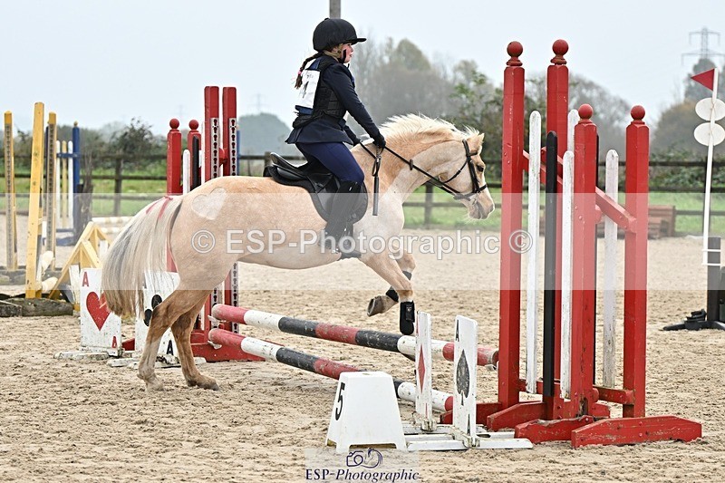 241110-100047-00156 - 40cm Showjumping