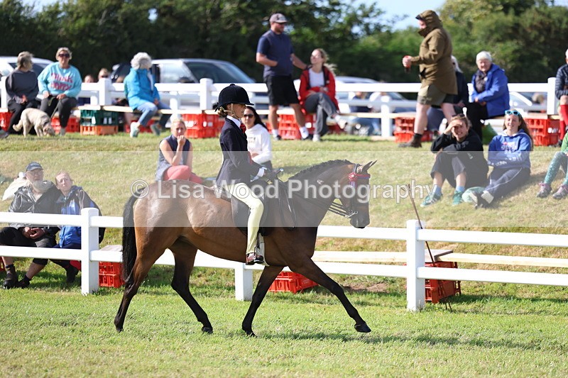 3E7A3809 - Supreme Championship