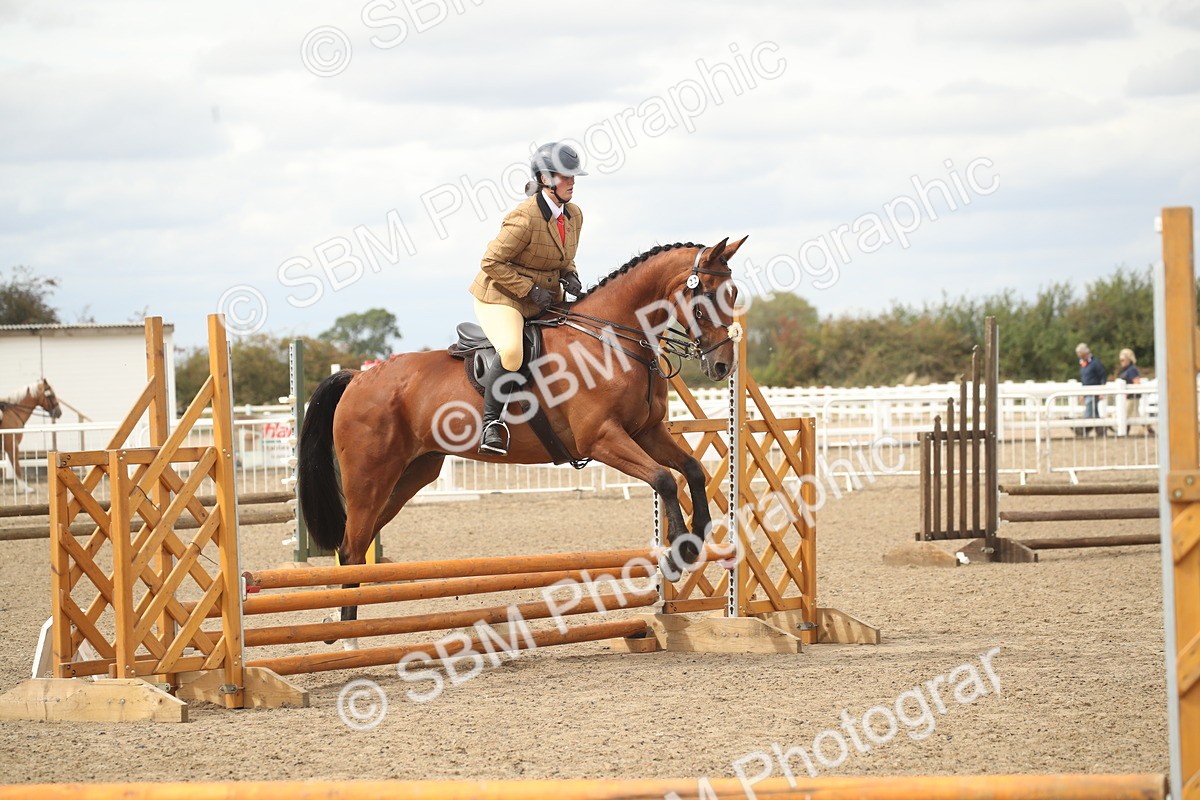 SBM_16782 - Class 507b - Working Veteran 60cm (20+)