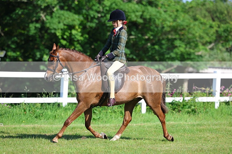 3E7A5918 - Class 27: Novice Working Hunter Pony