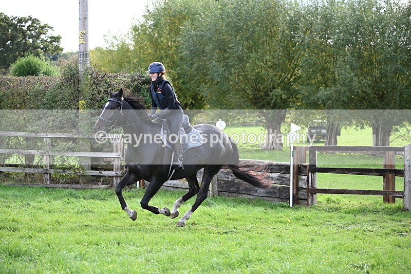 WJ6_4809 - Time 15:01 to 15:34