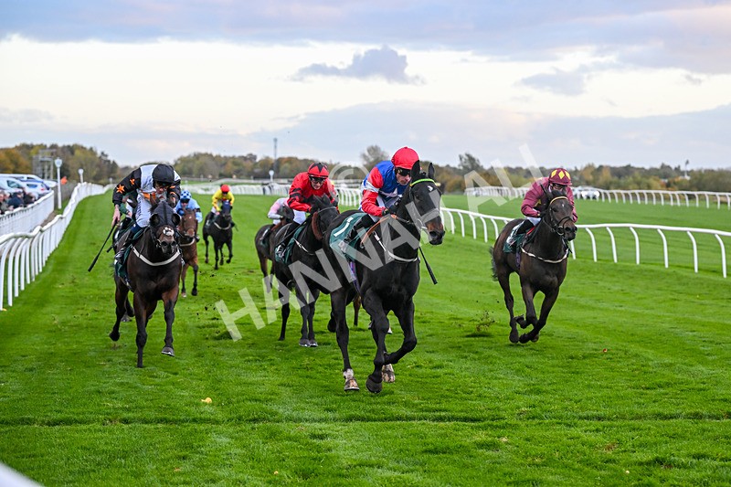 281025-Race 7-Crocodile Power-2118 - Race 7