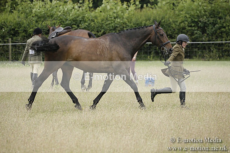 B230619-0777 - Bourne Valley Riding Club Summer Show 23/06/19