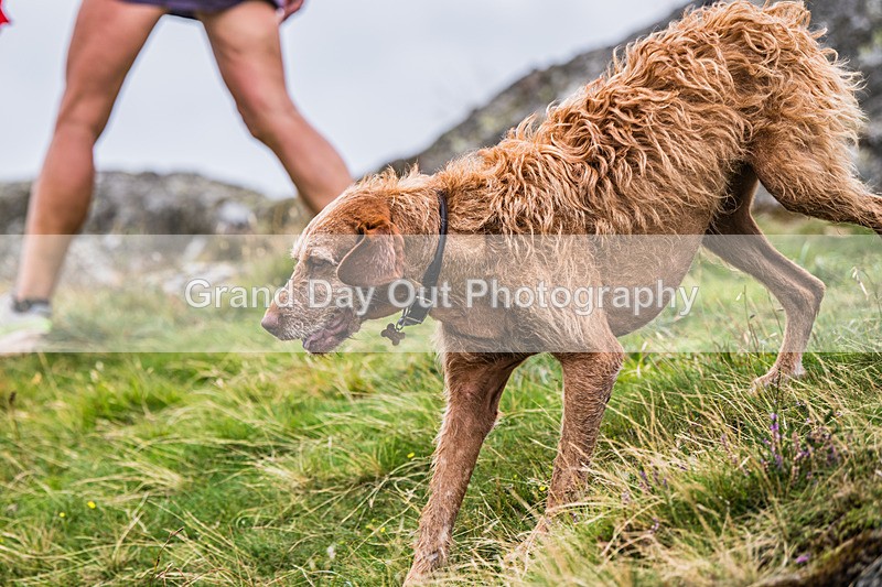 Arnison Horseshoe-365 - Arnison Crag Horseshoe Fell Race Saturday 23rd August 2025