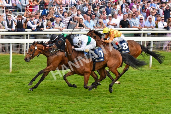 270523-Race 4-River of Stars-4364 - Race 4 3.15pm William Hill Bronte Cup Fillies' Stakes
