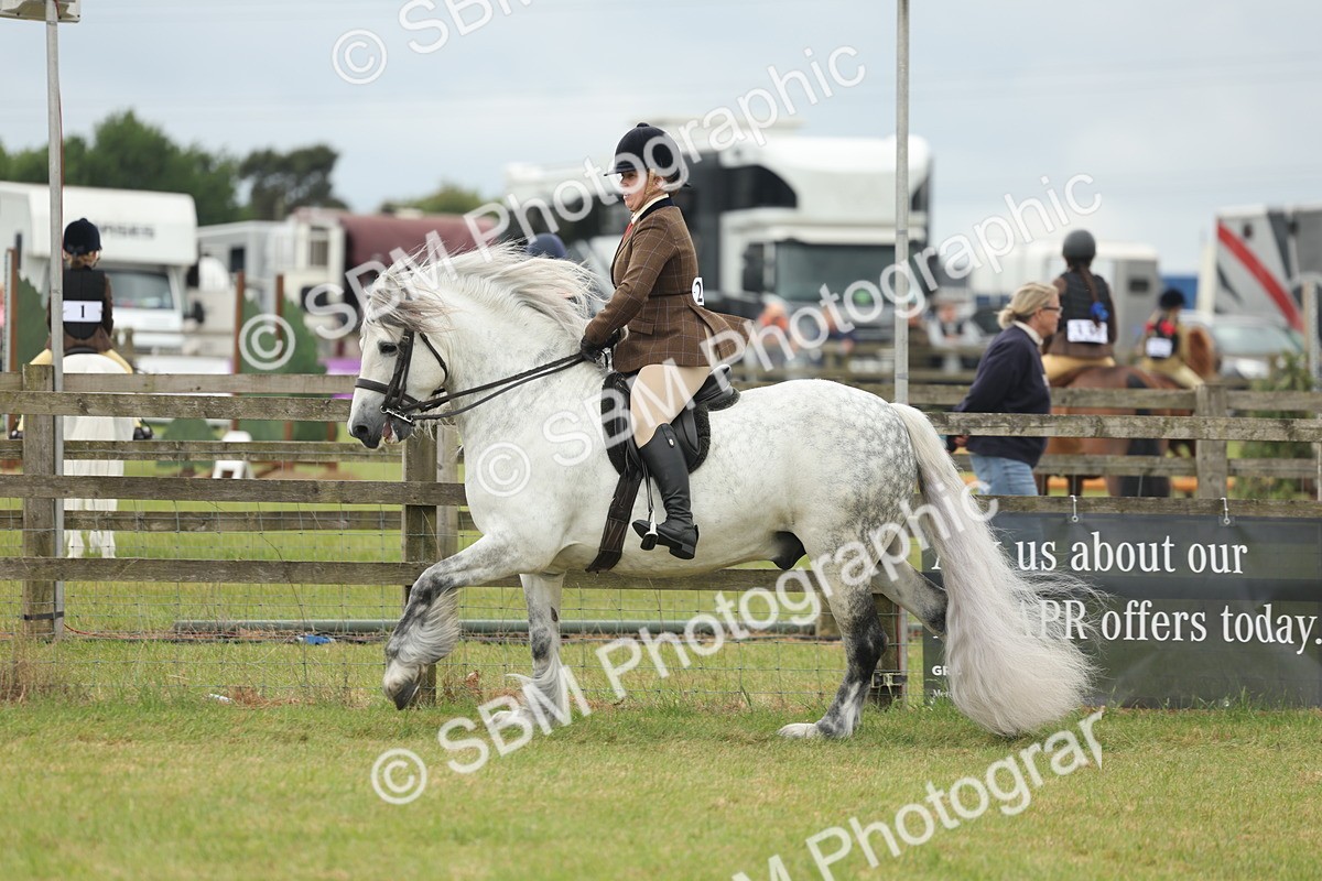 SBM_08981 - Class 78-80 - Ridden M&M Non Welsh Ponies
