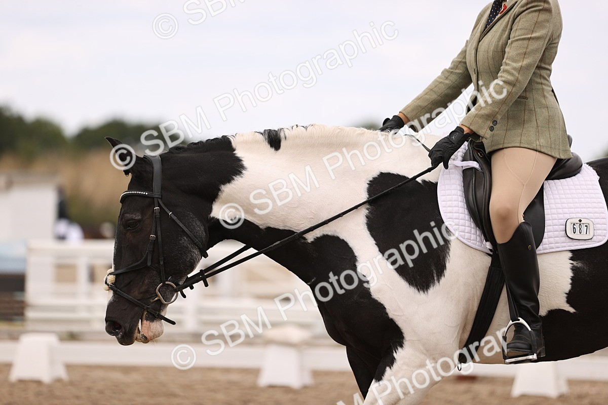 SBM_05904 - Class 37 Novice 5