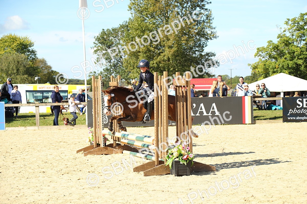 SBM_39305 - J6 - Junior Pony 55cm Championships