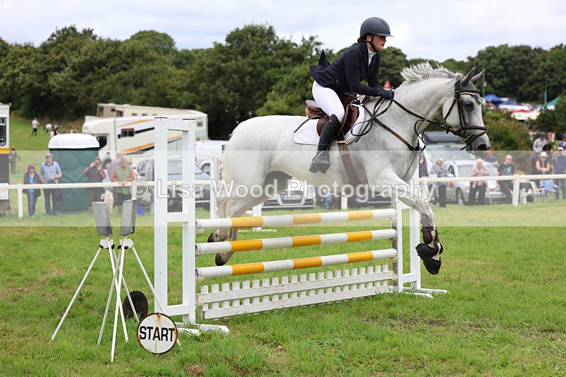 3E7A7065 - Class 5: Senior British Novice/90cm open
