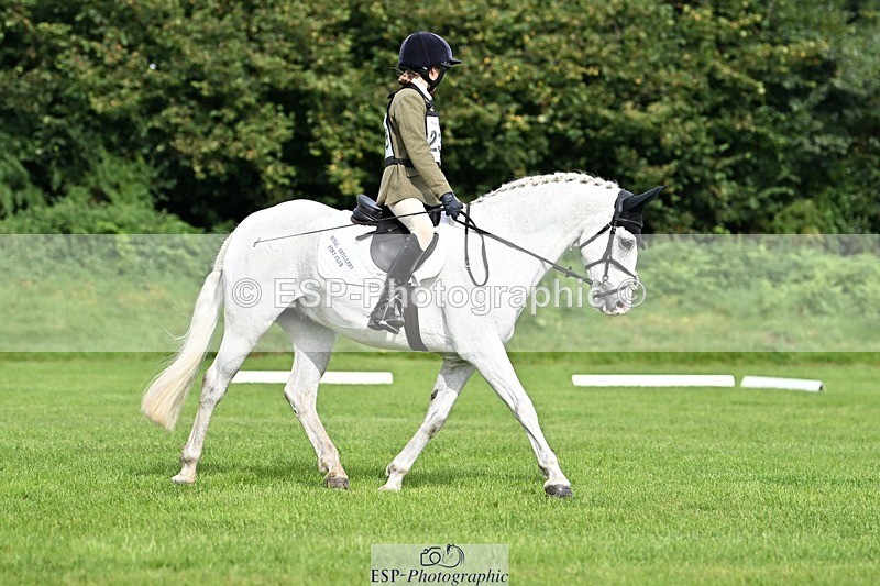 230826-095911-16325 - Sections A & B - 9 to 10am