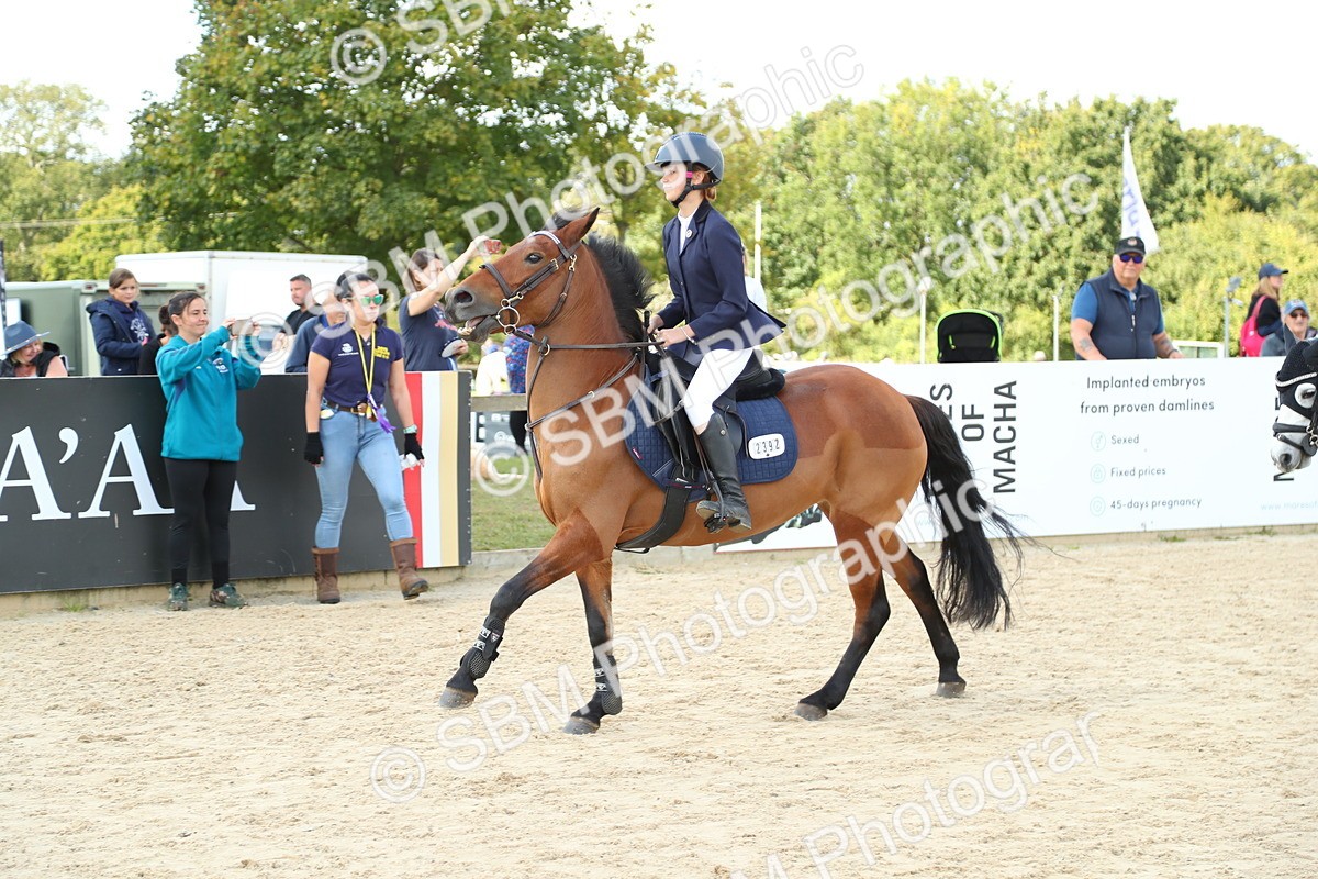 SBM_41540 - J6 - Junior Pony 55cm Championships