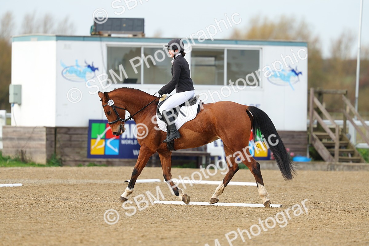 SBM_003566 - Class 6 - Novice 2