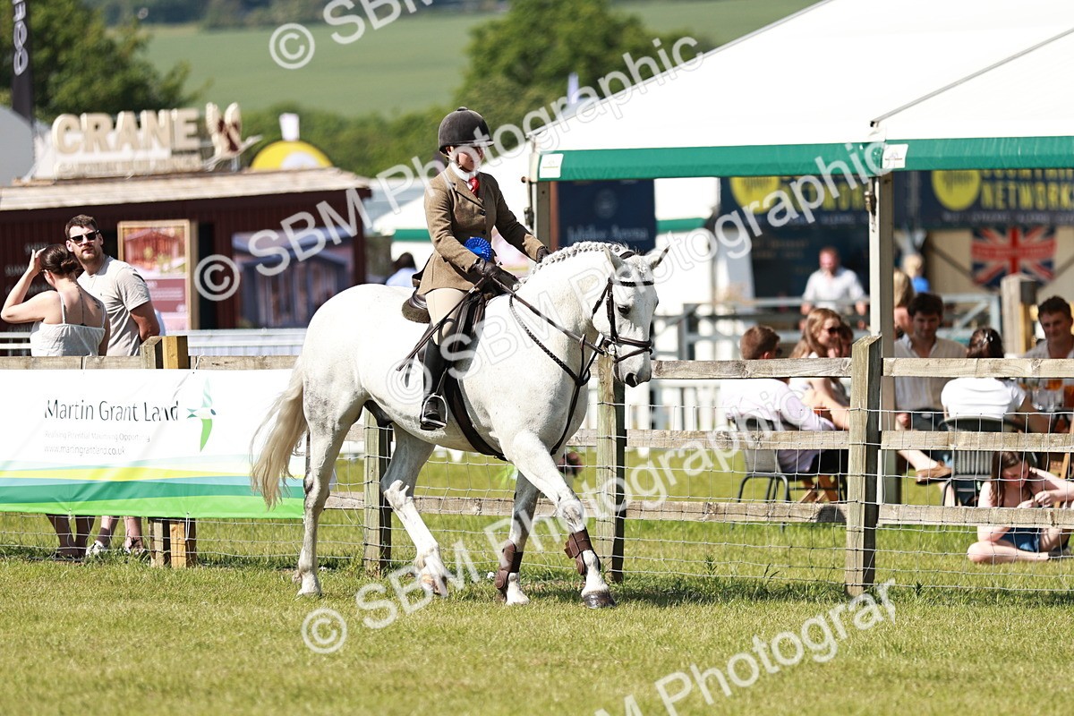 SBM_18513 - Class 112-113 - BSPS LIHS Working Sports Pony