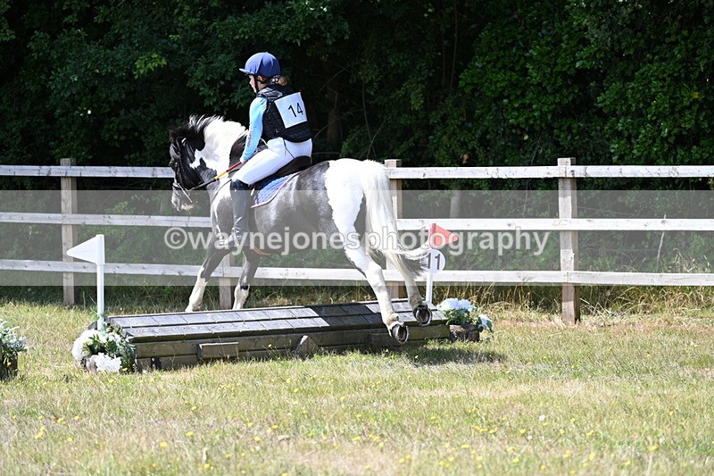 WJ7_0259 - 40cm Time 11:47 to 12:01