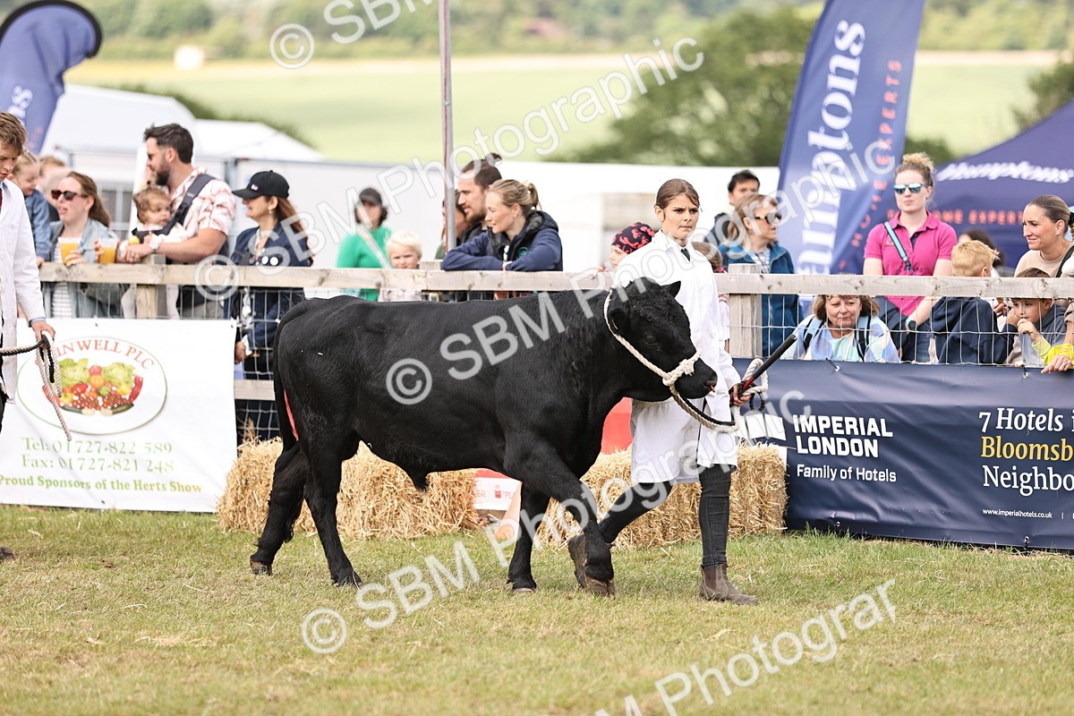 SBM_16899 - Grand Parade