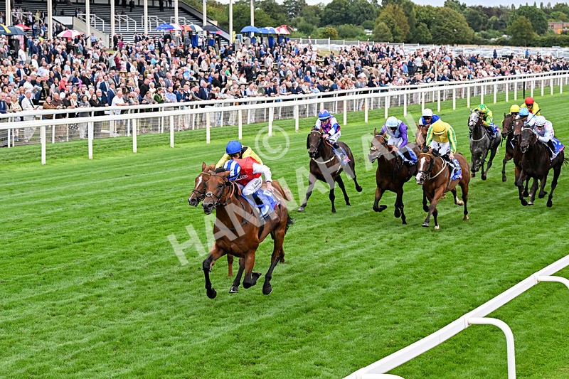 210826-Race 1-Blue Courvoisier-0082 - Race 1 13.50pm Sky Bet Mile Handicap