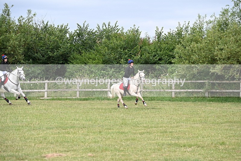 WJ6_5832 - 60cm Pairs XC