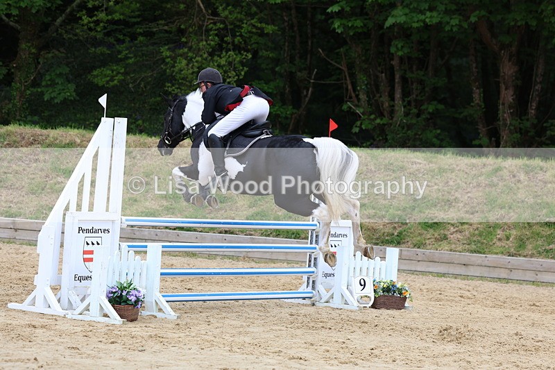 3E7A6523 - Class 4: Senior British Novice/90cm open