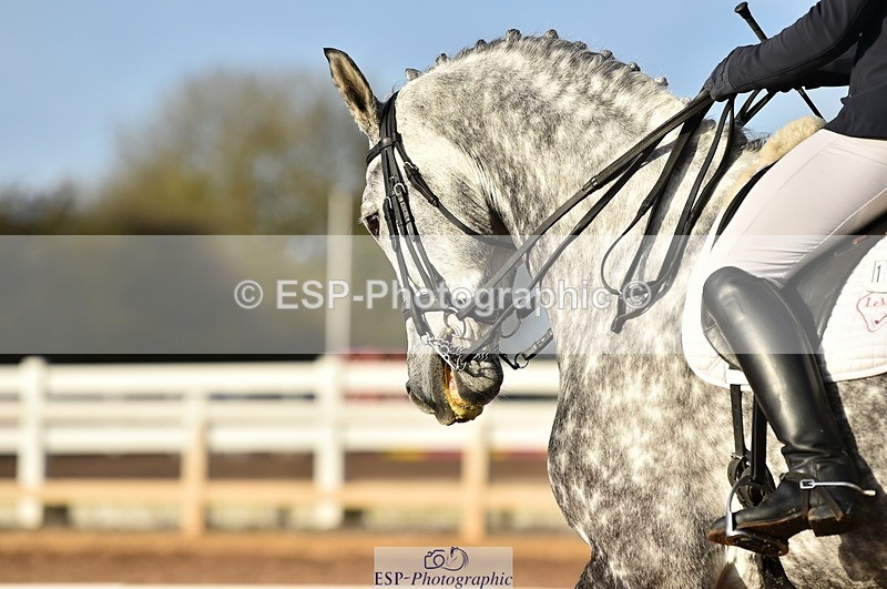 231104A-145252-02204 - Cls 13 Adv Medium 91