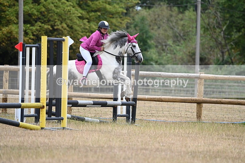 WJ6_0333 - Class 13 Novice Jumping 60cm
