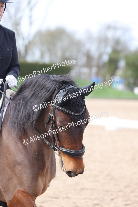 20260301-0854 - Class 5 - Elementary 4