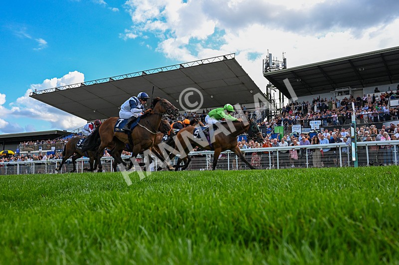300826-Race 2-Jm Jungle-6085 - Race 2 2.15pm William Hill Beverley Bullet Sprint Stakes