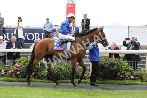 yr20082022r2-11 - Race 2 2.35pm Sky Bet Melrose Stakes