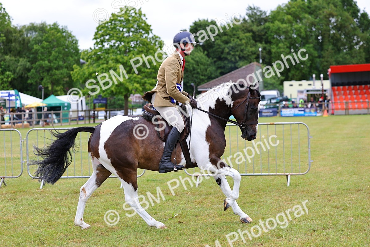SBM_02677 - Class 9-11 Side Saddle including LIHS Rising Star Ladies Show Horse