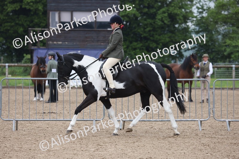 20260504-1034 - Class 14 - Cob and Hunter