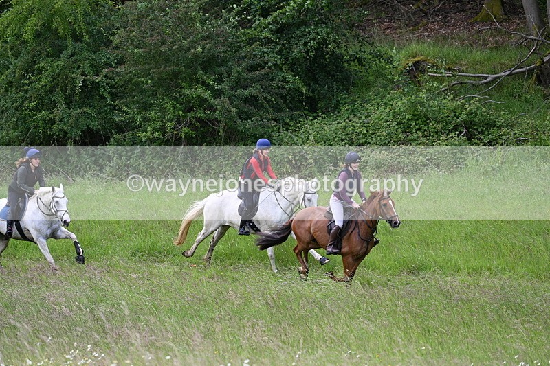 WJ7_8514 - Group 1 10am