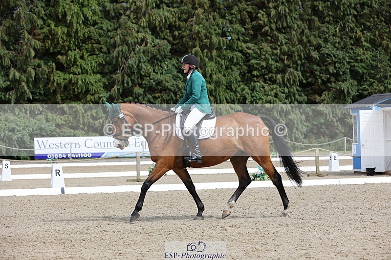 250718A-153205-02602 - 152-Tracy.OKennedy-Wylye.Harlequin